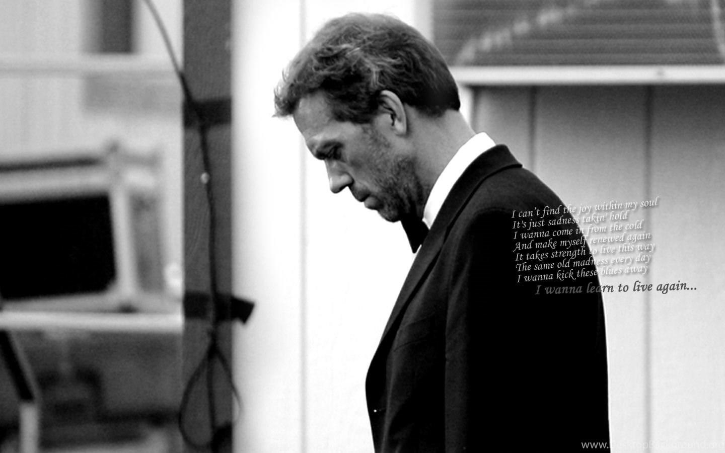 Hugh Laurie, Fan, Wallpaper, Desktop, Schauspieler, 1440x900 HD Desktop