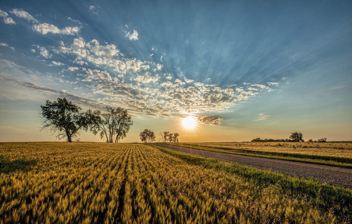 North Dakota, Straße, Feld, Himmel, Sonnenuntergang, 1340x850 HD Desktop