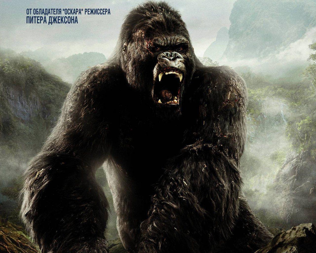 King Kong, Film, 2005, Naomi Watts, Kino, 1280x1030 HD Desktop