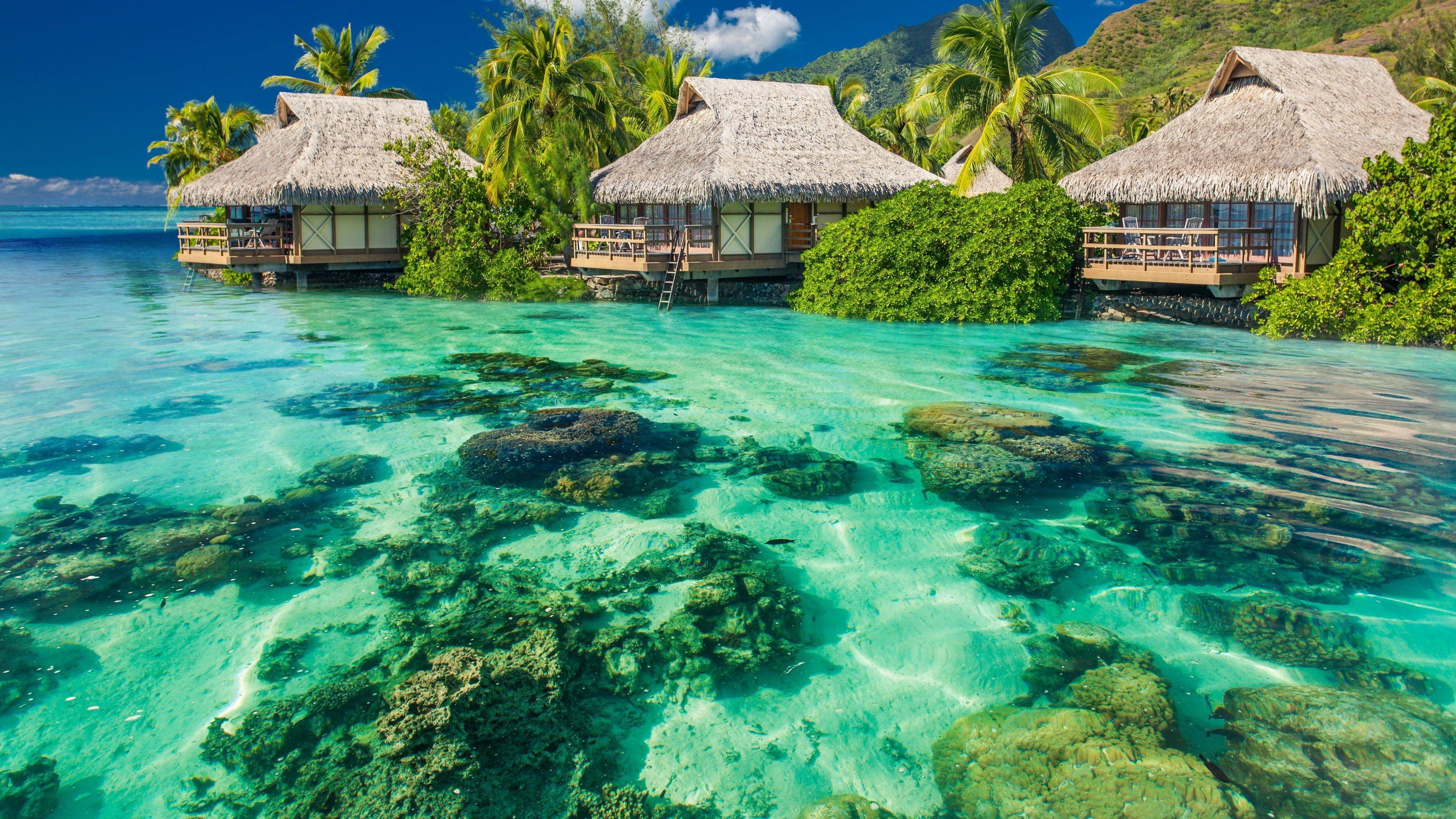 Moorea, Französisch-Polynesien, 4K, Natur, Hintergrund, 3840x2160 4K Desktop