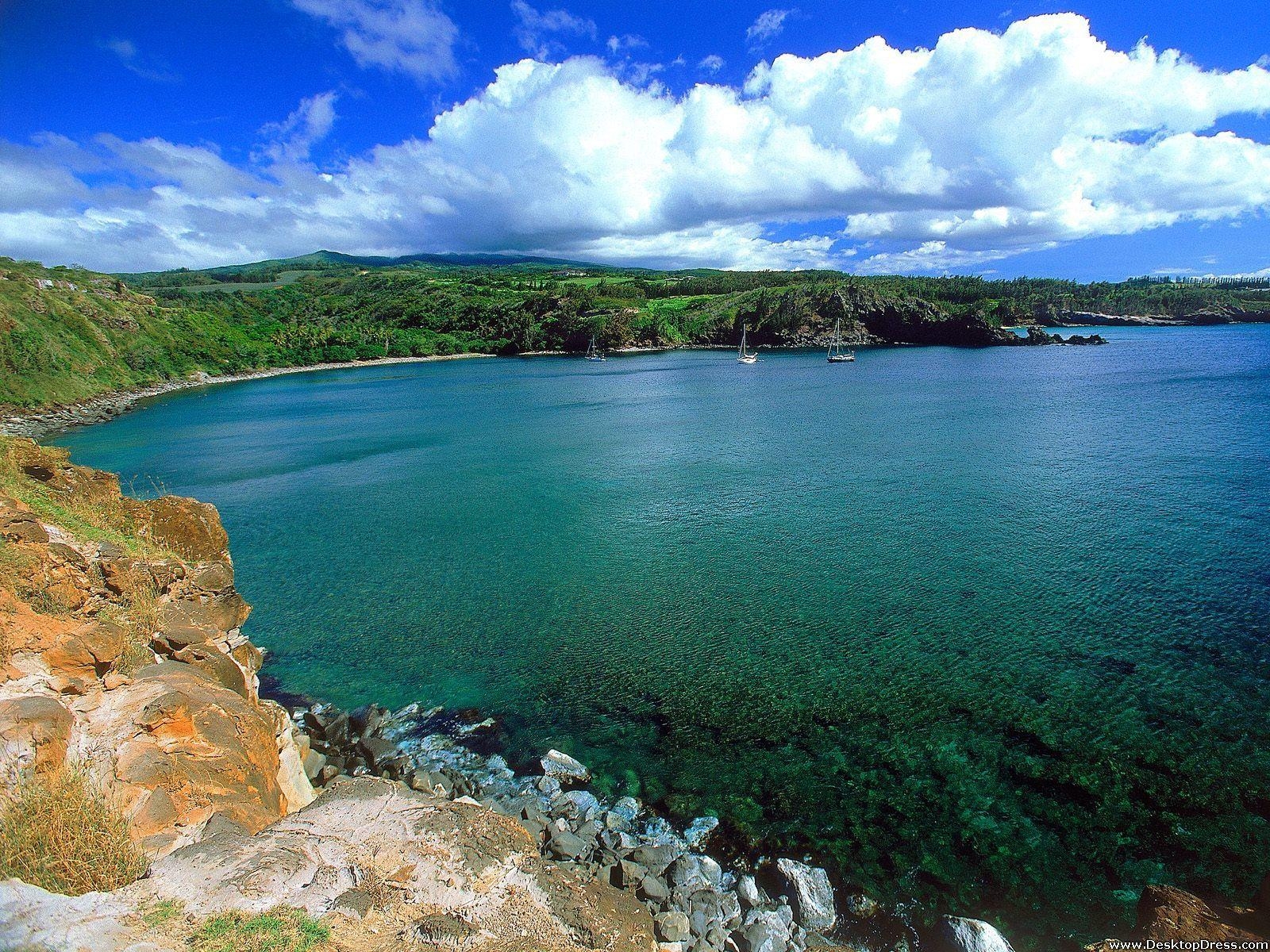 Honolua Bay, Maui, Natur, Pazifik, Hintergrund, 1600x1200 HD Desktop