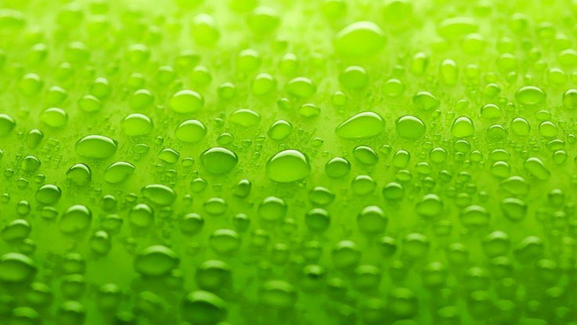 Limette, Grün, Hintergrund, niedlich, HD, 1920x1080 Full HD Desktop