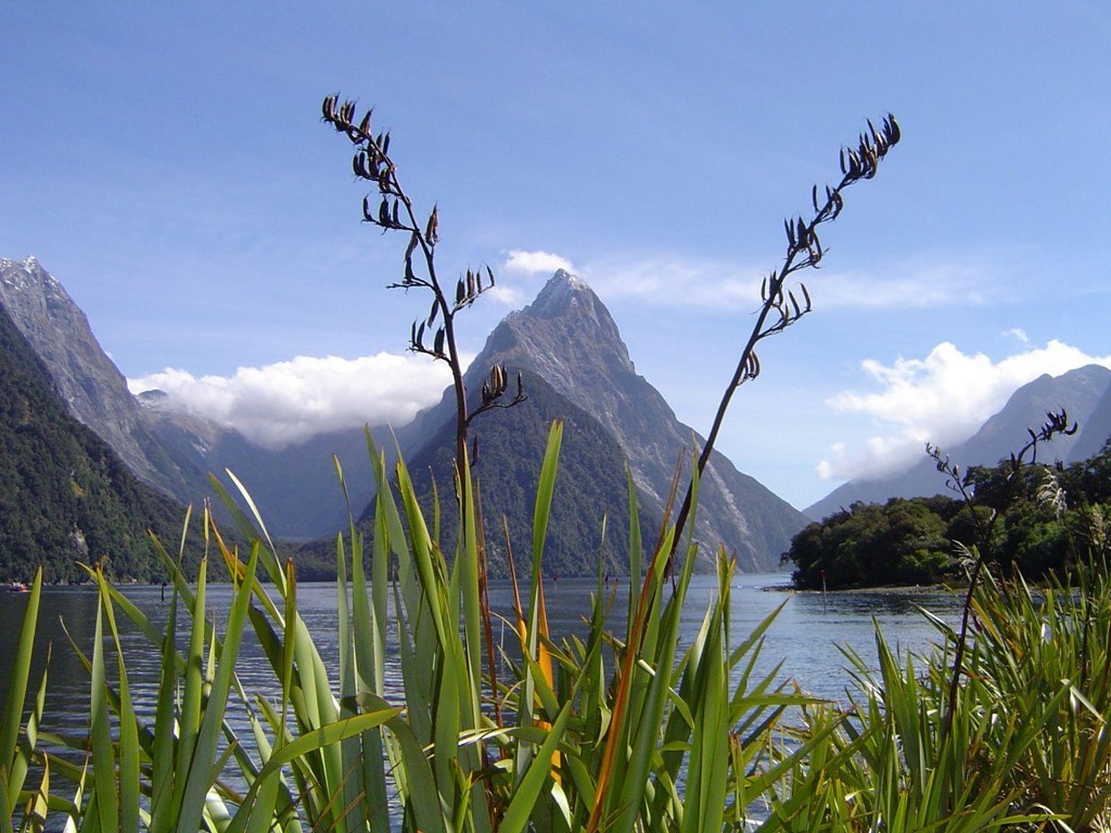 Milford Sound, Landschaft, Reisen, Natur, Neuseeland, 1600x1200 HD Desktop