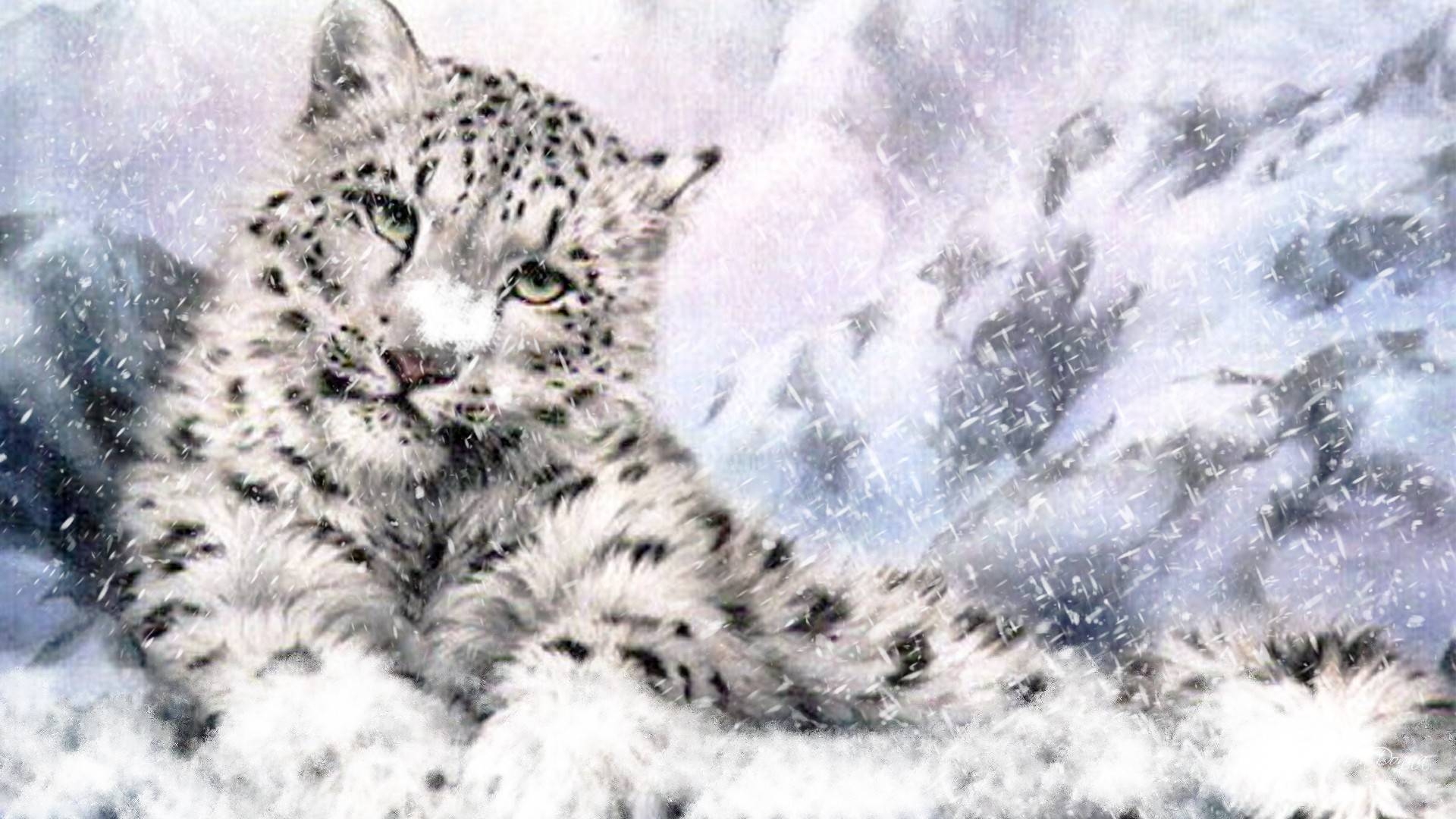 Schneeleopard, 4K, Ultra, HD, Großkatze, 1920x1080 Full HD Desktop