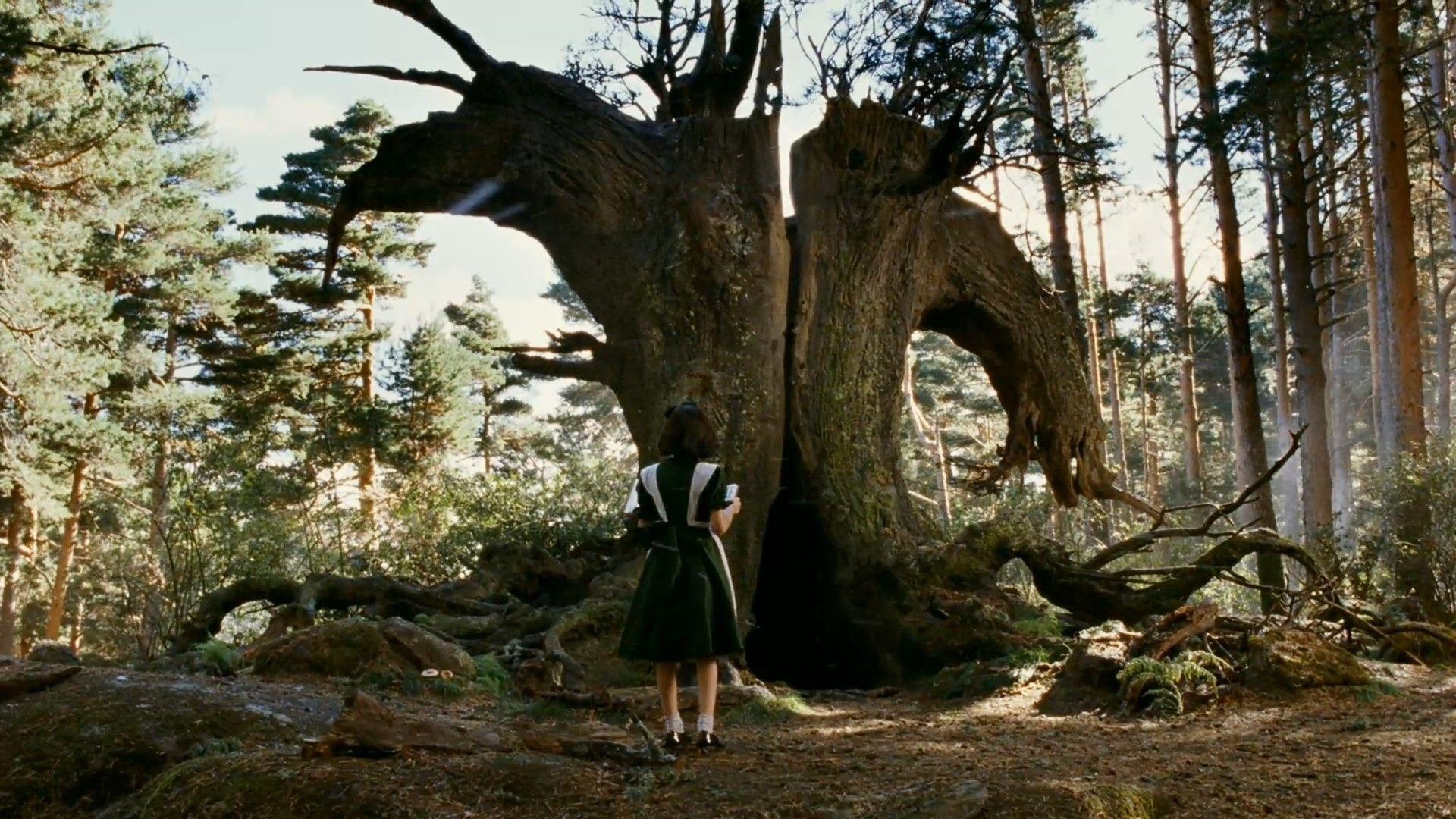 Pans Labyrinth, Hintergrund, Film, Mystisch, Bild, 1920x1080 Full HD Desktop