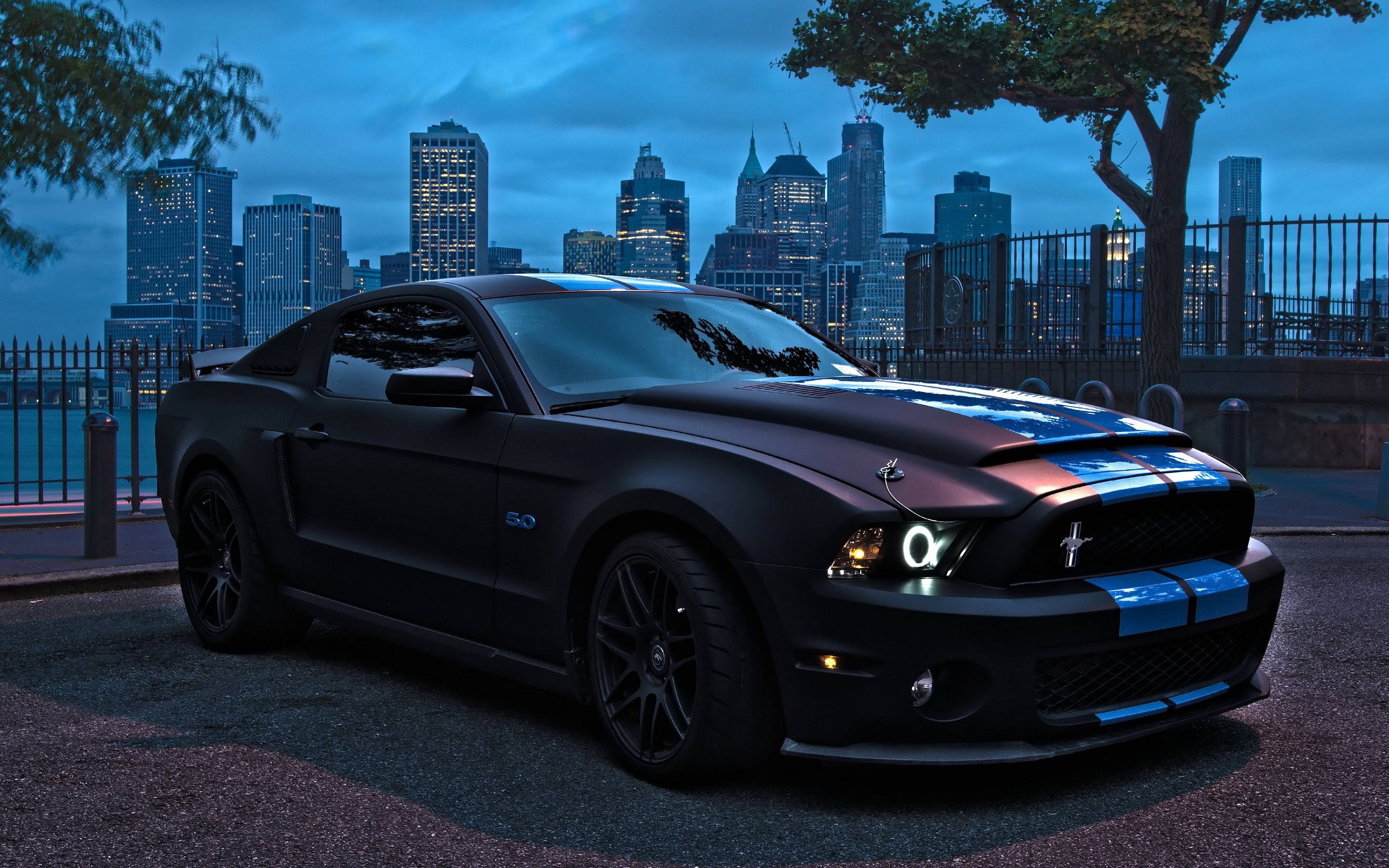 Ford Mustang, Hintergrund, Bild, Performance, Auto, 2880x1800 HD Desktop