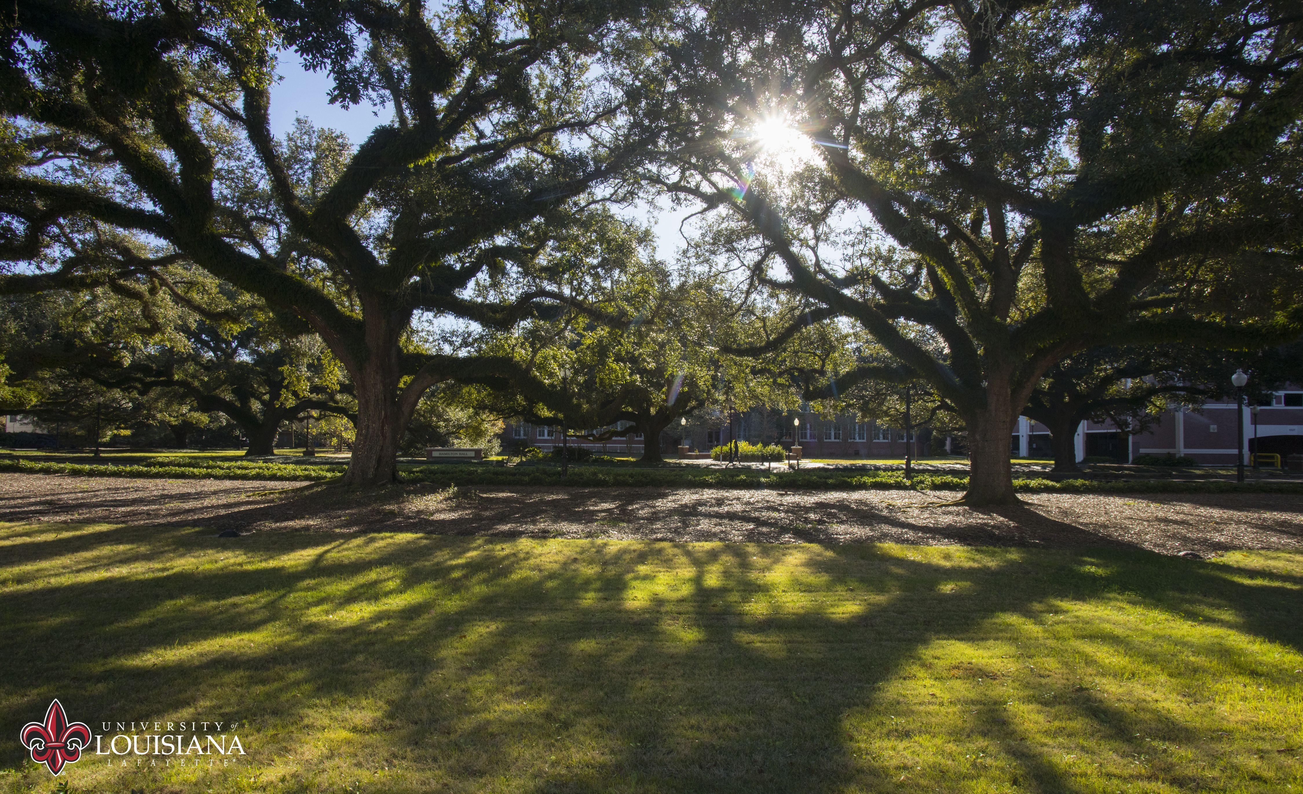 UL Lafayette, Universität, Desktop, Download, Hintergrund, 4500x2750 4K Desktop