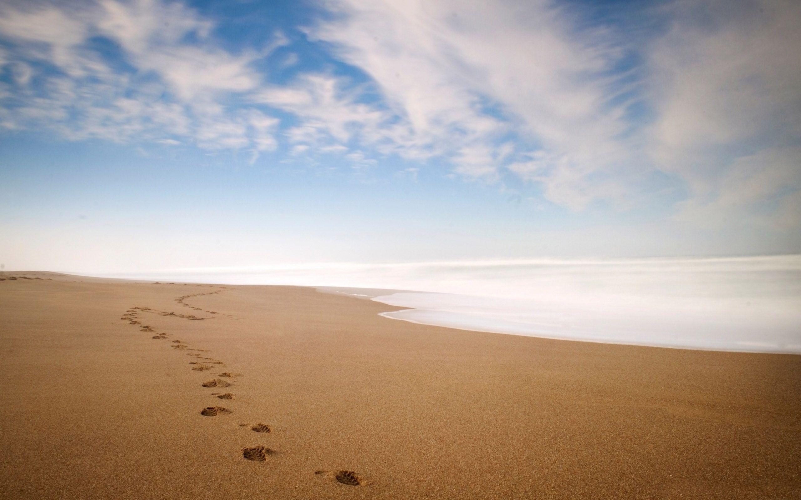 Fußspuren, Sand, Strand, Natur, Bild, 2560x1600 HD Desktop