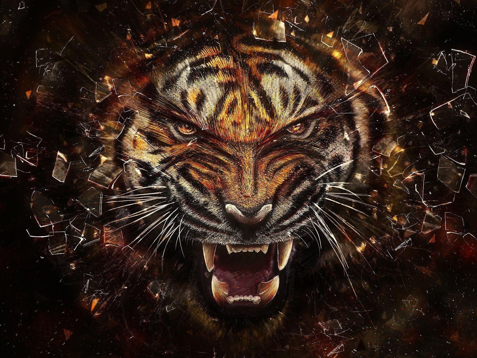 Tigerbild, HD, Hintergrund, Tierwelt, Natur, 1920x1440 HD Desktop