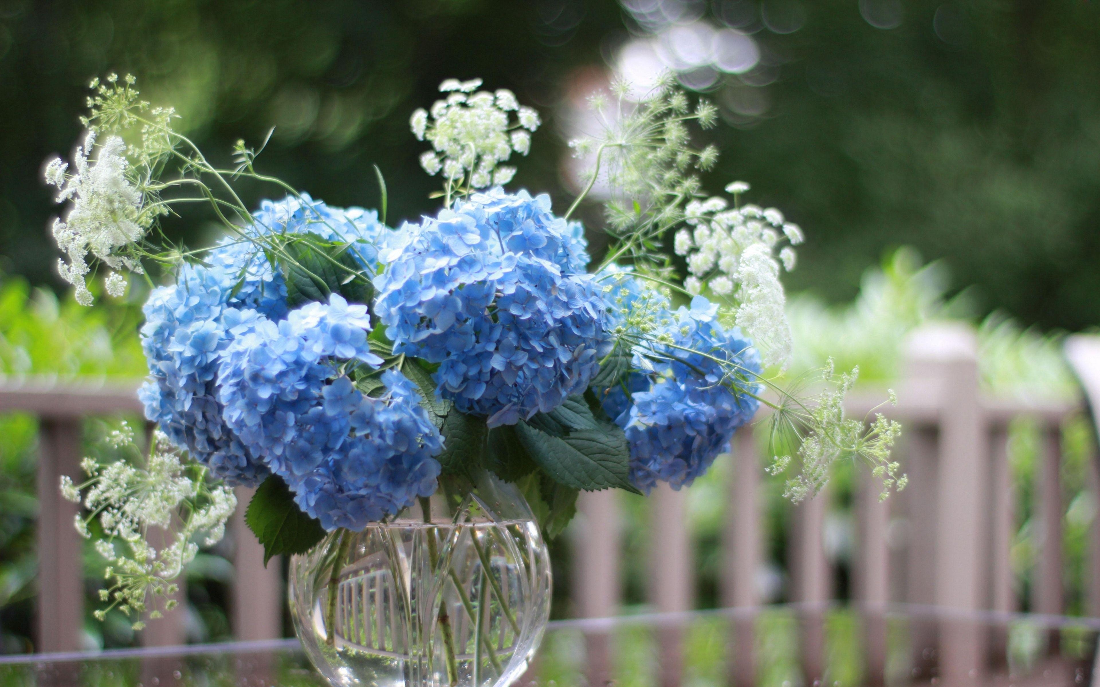 Hortensie, Vase, Bouquet, Download, Bild, 3840x2400 4K Desktop