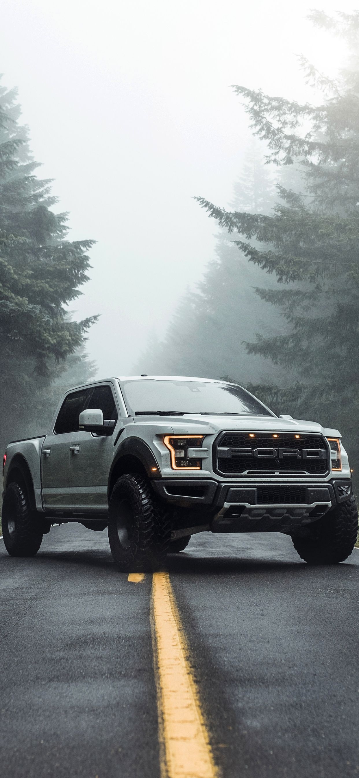 Ford F-150, Hintergrund, USA, Truck, Kraftvoll, 1250x2690 HD Handy