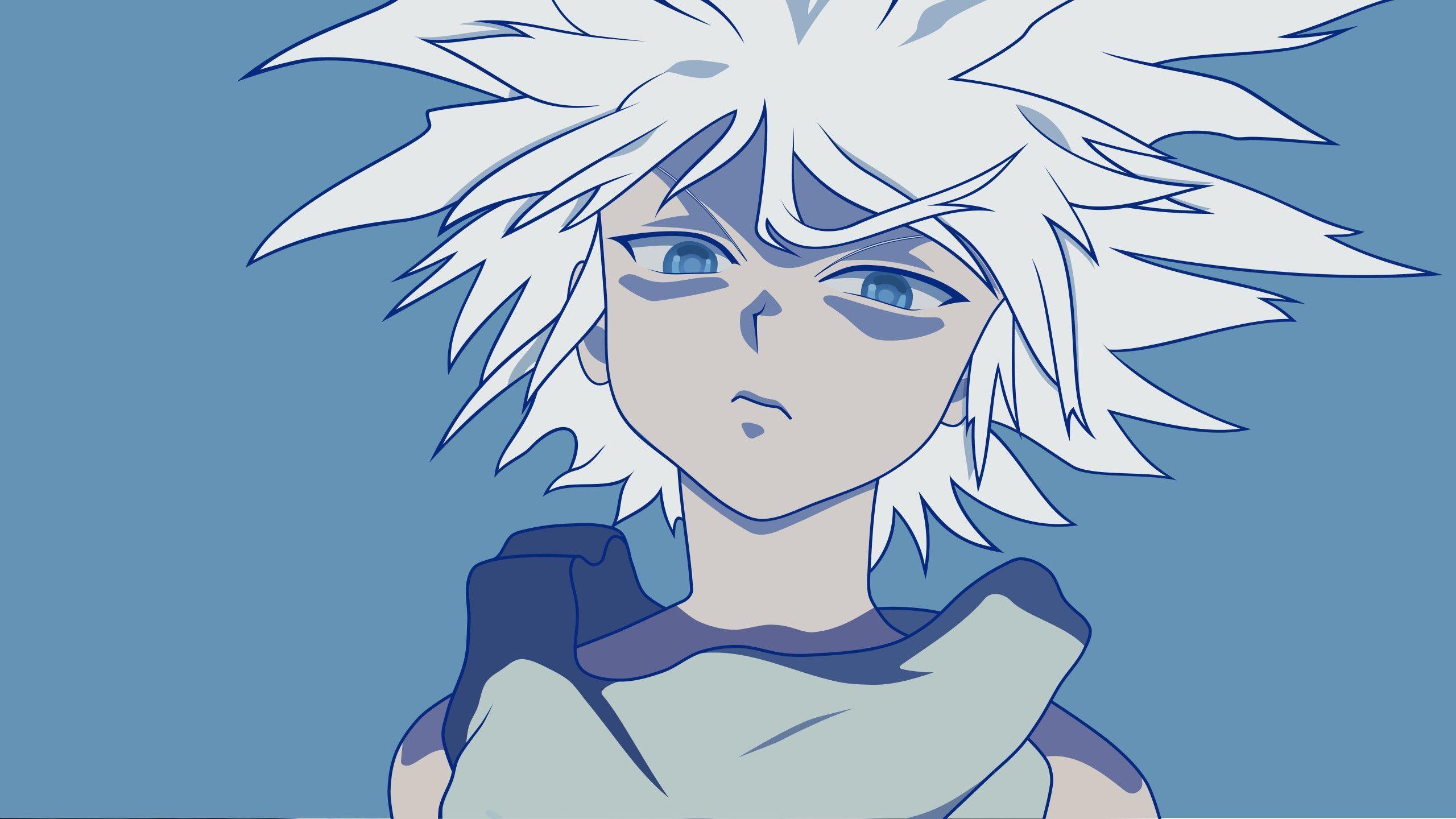 Killua, Anime, Ästhetik, Computer, Bild, 2560x1440 HD Desktop