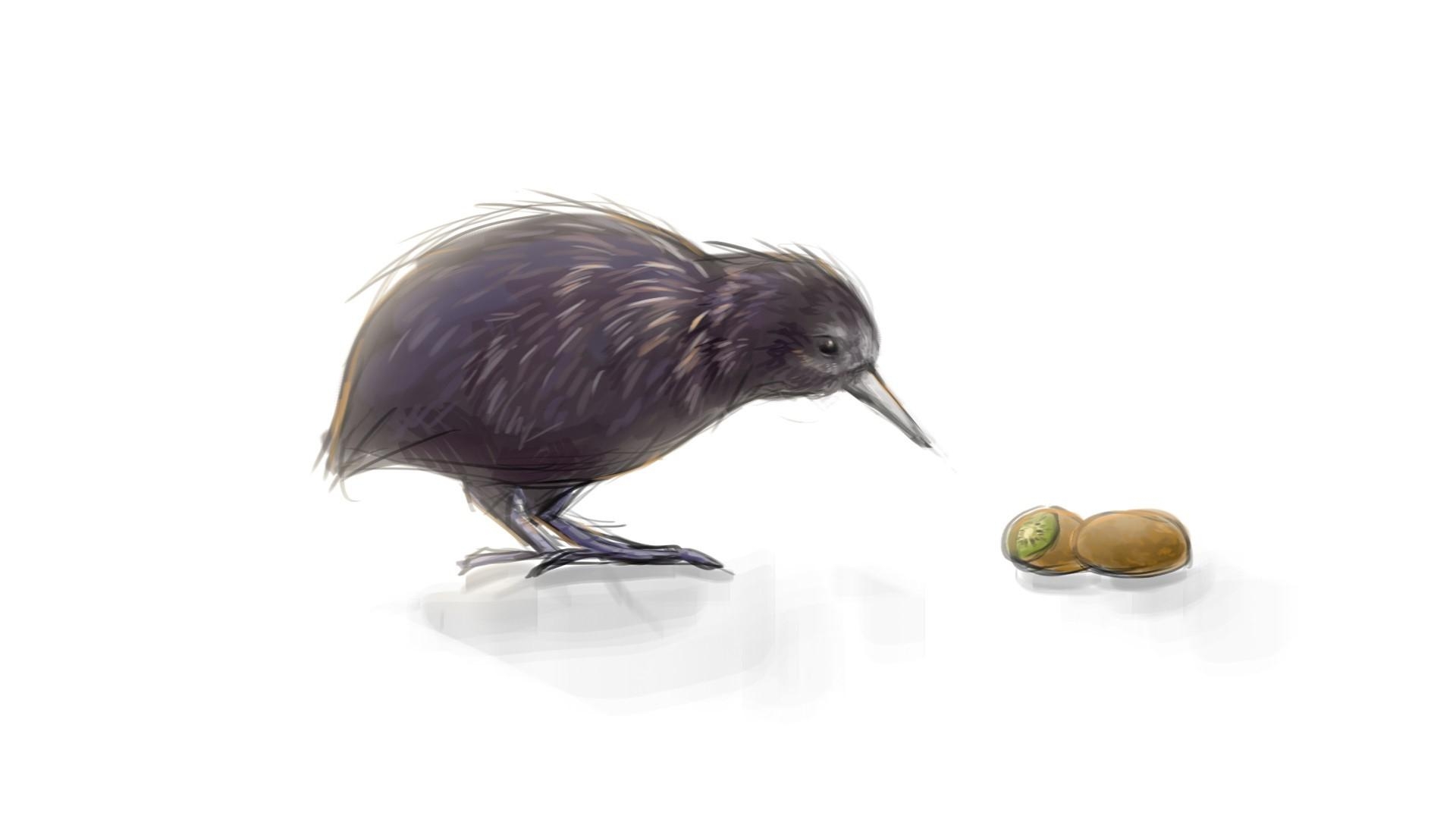 Kiwi Tier, Vögel, Früchte, Wallpaper, HD, 1920x1080 Full HD Desktop