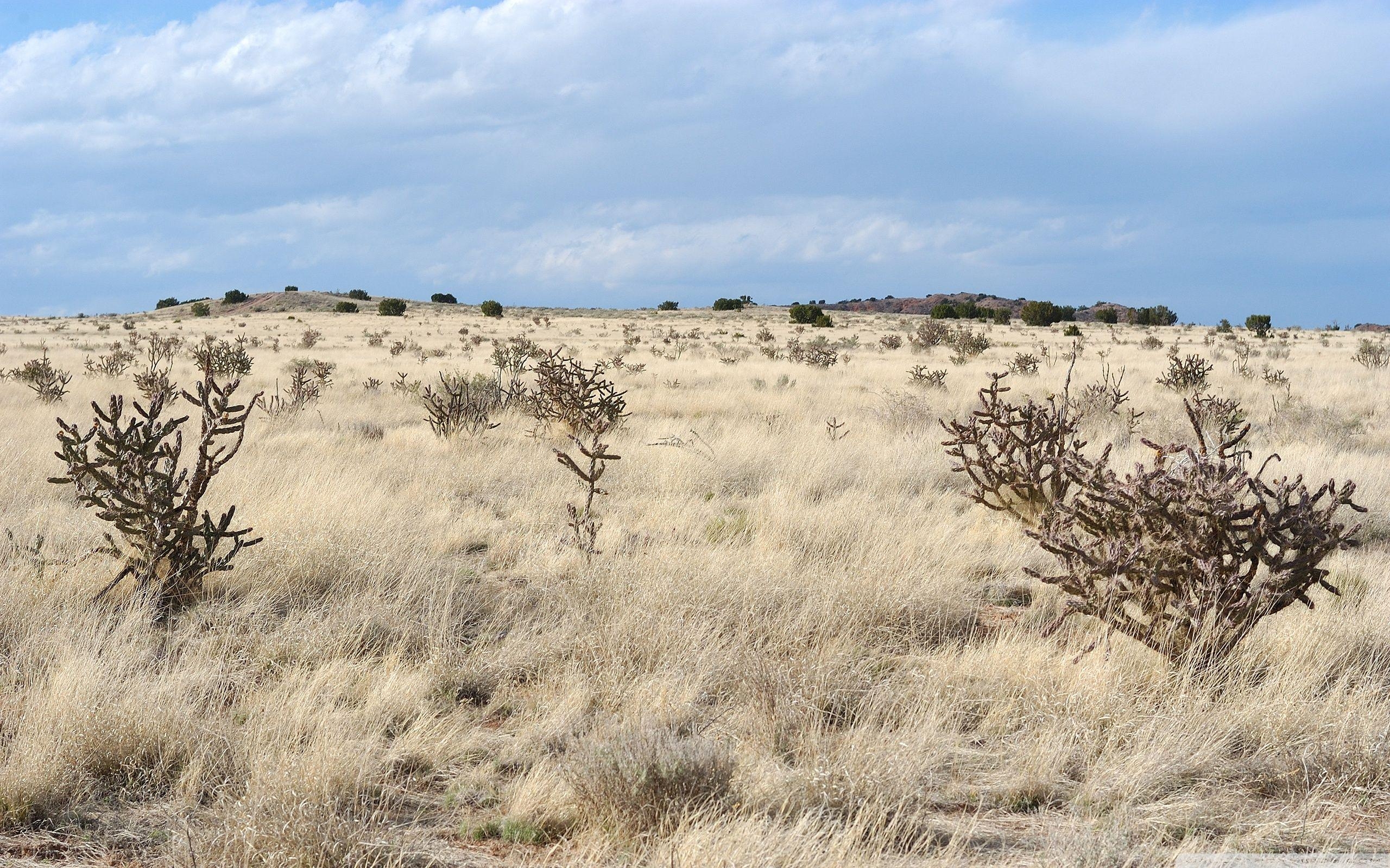 New Mexico, Landschaft, 4K, HD, Reisen, 2560x1600 HD Desktop