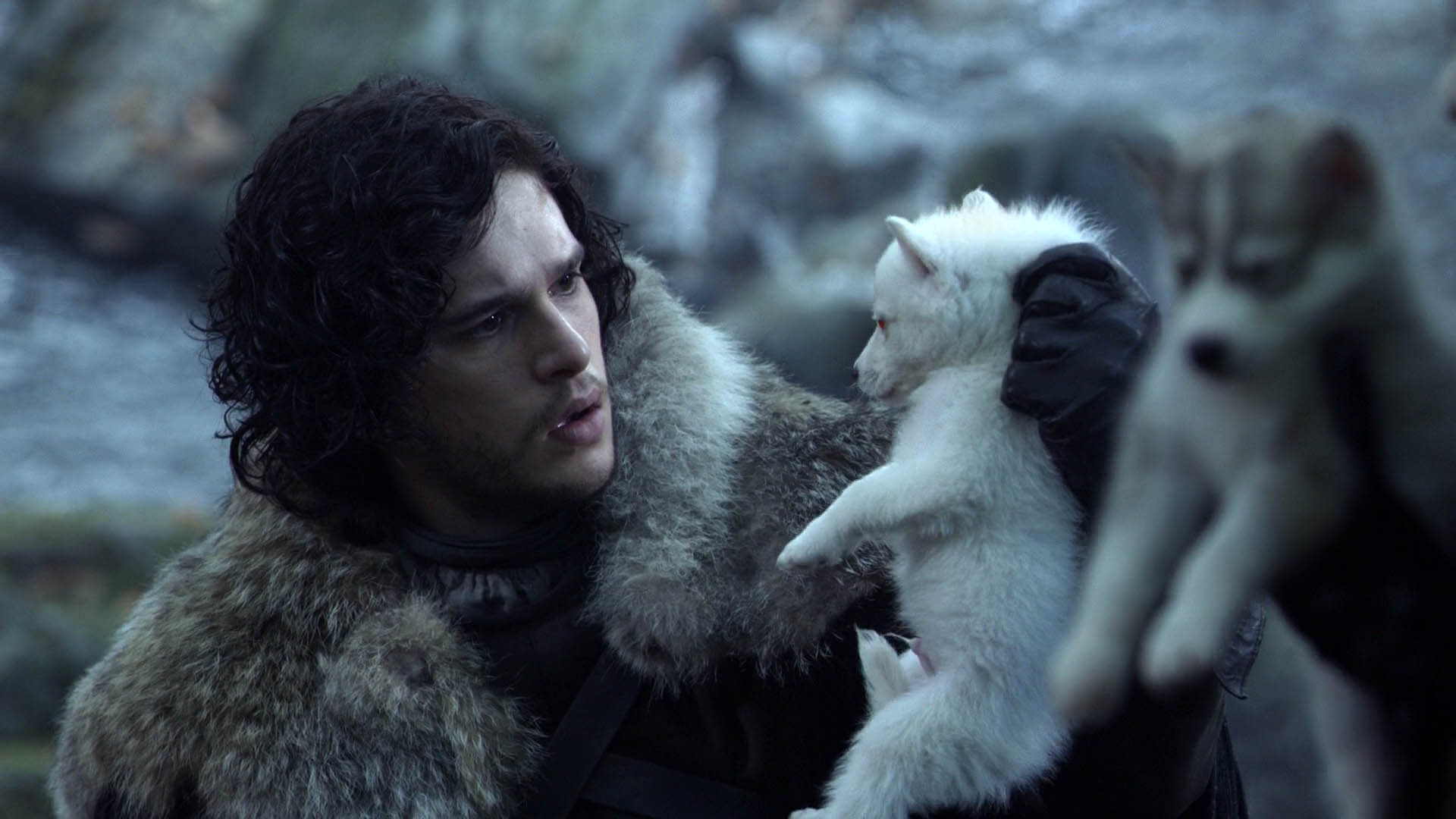 Jon Schnee, Game of Thrones, Wolf, TV-Show, Baby, 1920x1080 Full HD Desktop