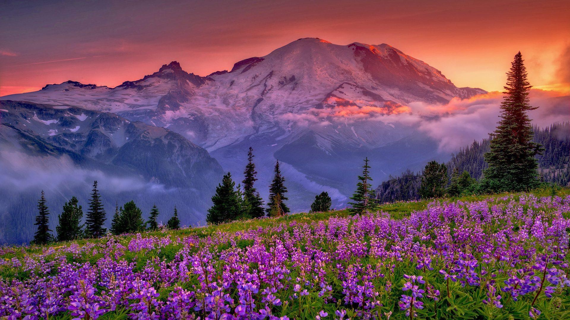 Washington State, Reisen, Natur, Wandern, Abenteuer, 1920x1080 Full HD Desktop