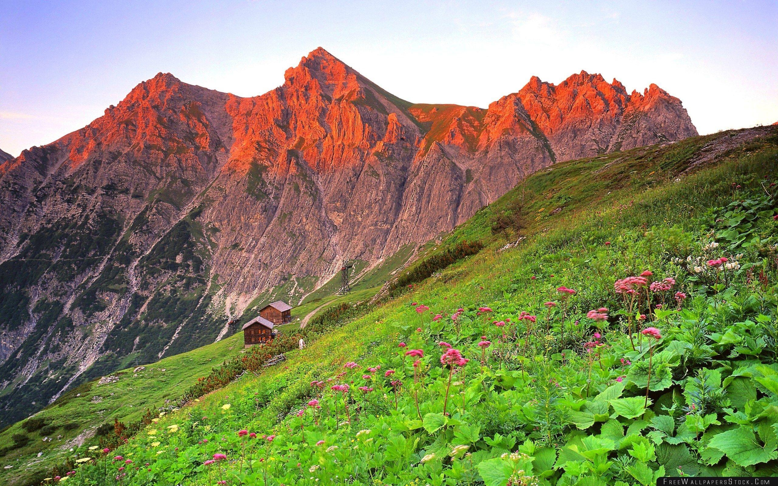 Brandnertal, Österreich, Berge, Gras, Landschaft, 2560x1600 HD Desktop