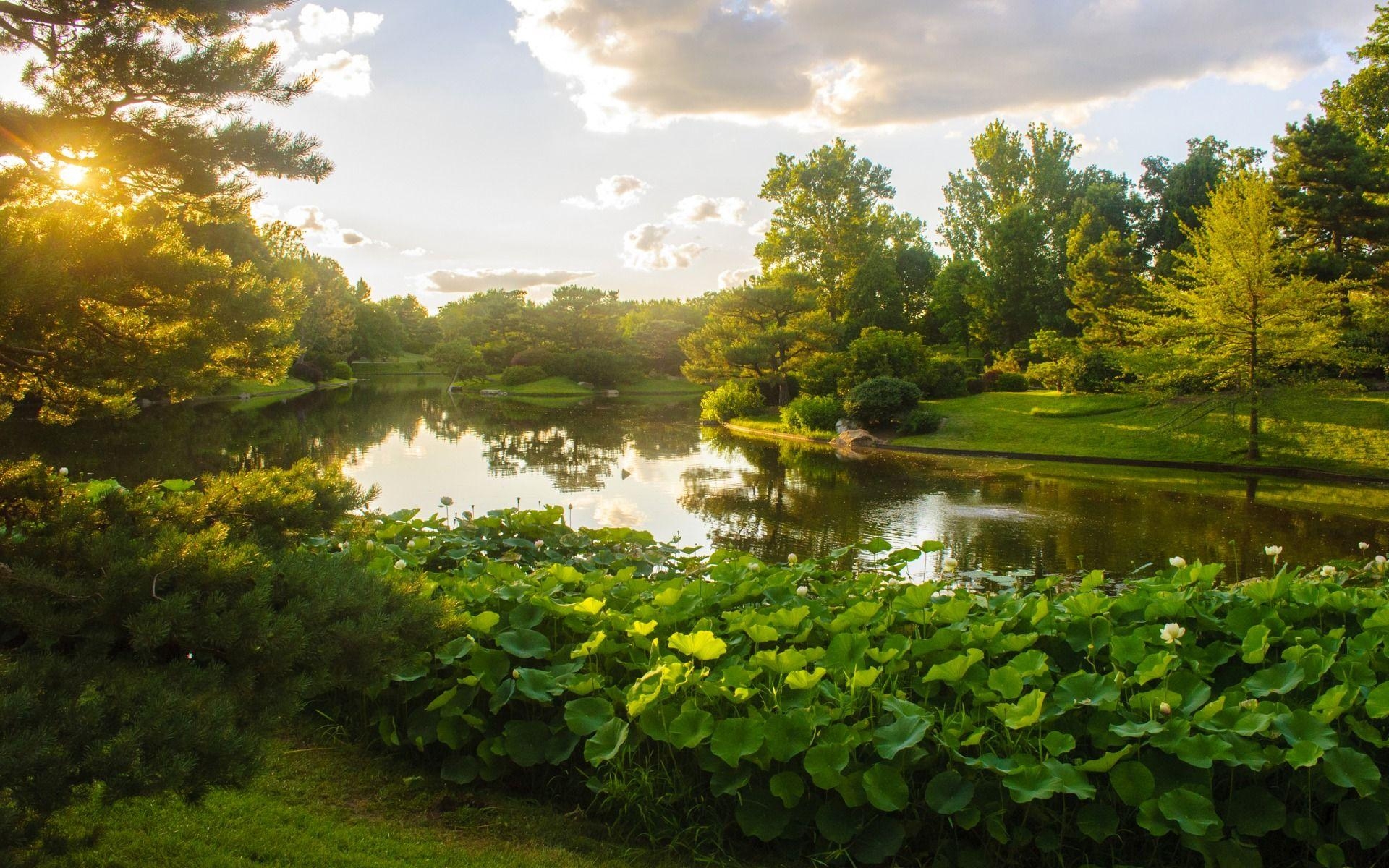 Missouri, Botanischer Garten, USA, Desktop, PC, 1920x1200 HD Desktop