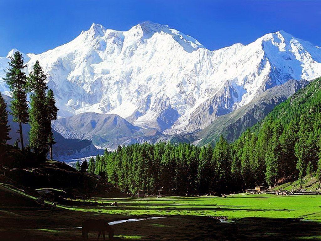 Himalayas, Hochauflösend, HD, Reise, Berglandschaft, 1030x770 HD Desktop