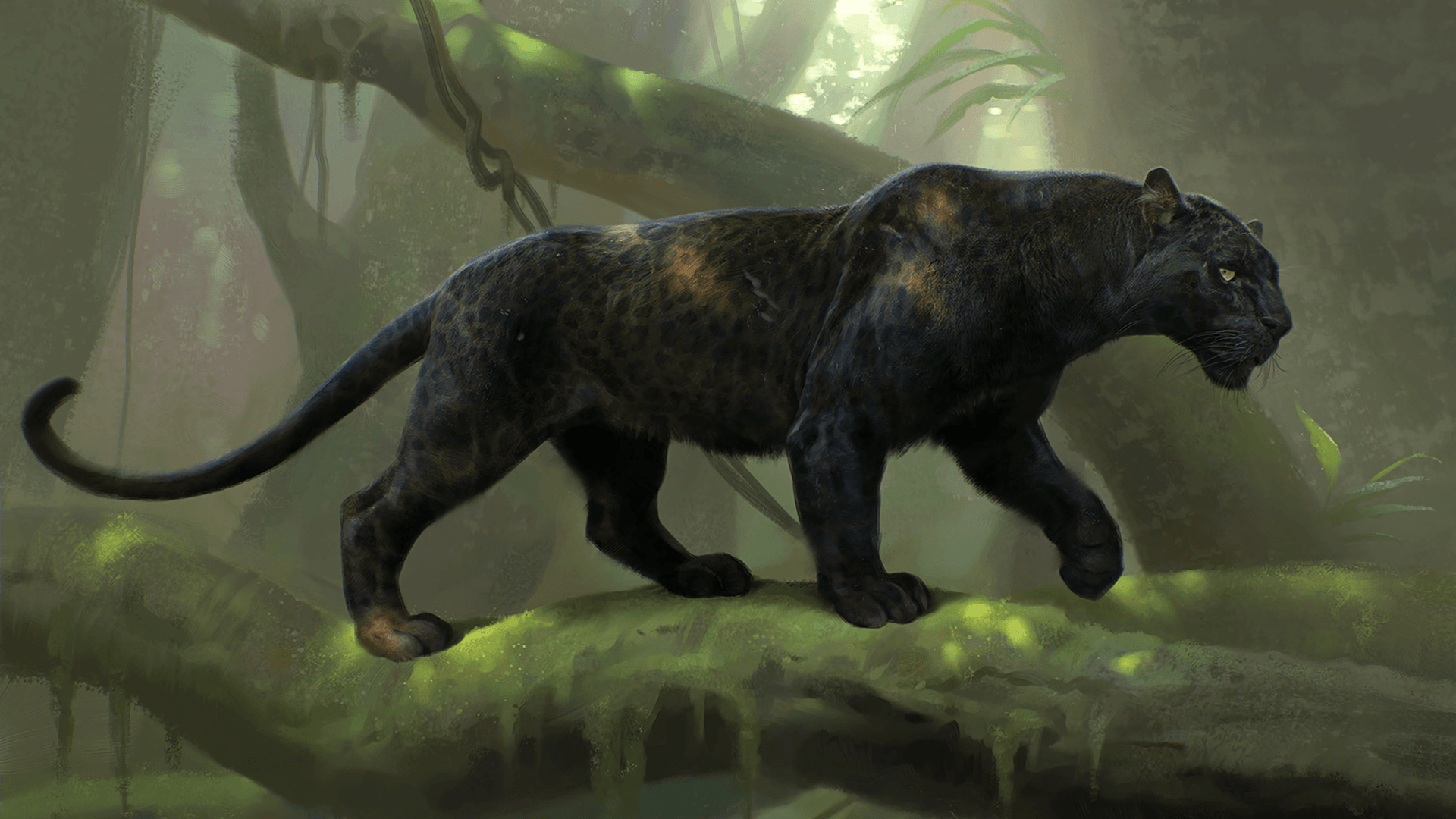 Schwarzer Panther, Tier, HD, Hintergrund, Bild, 1920x1080 Full HD Desktop