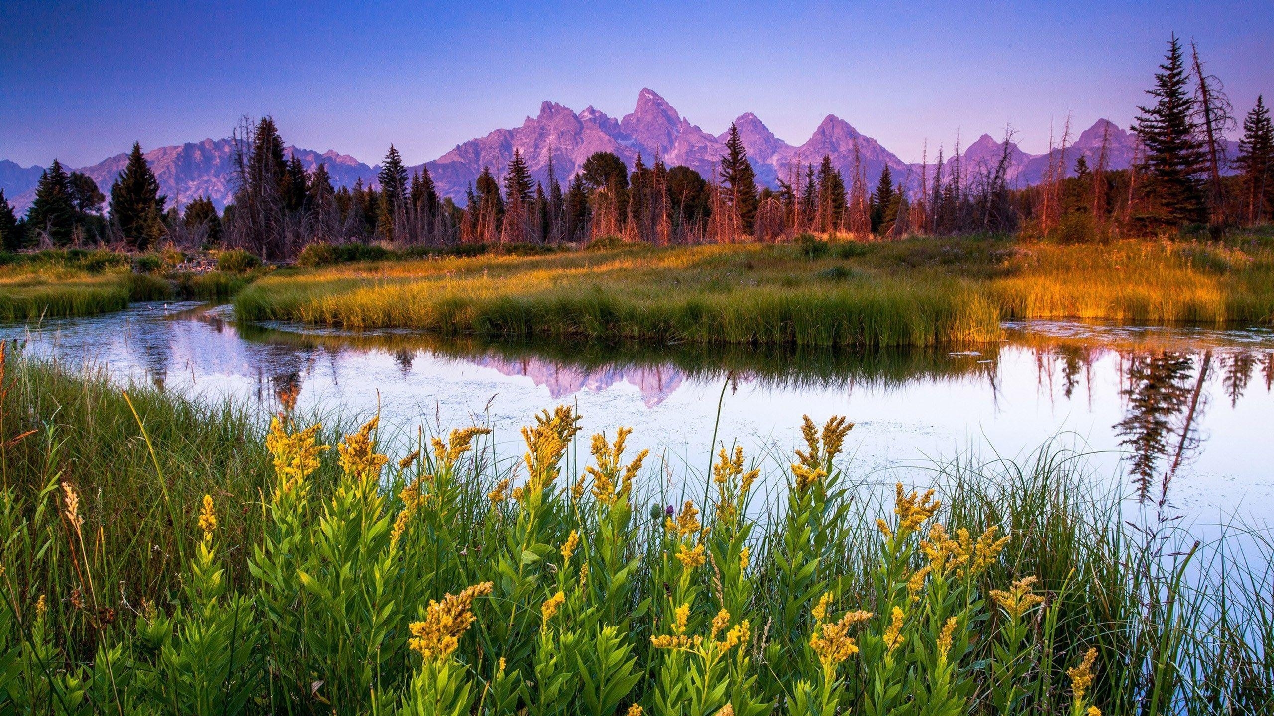 Grand Teton, Download, Nationalpark, USA, Landschaft, 2560x1440 HD Desktop