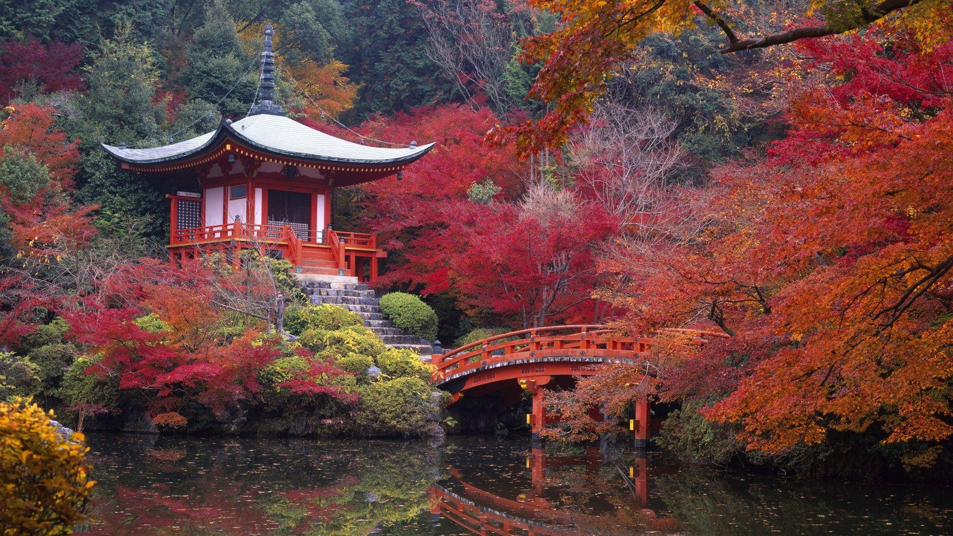 Frühling, Japan, HD Bild, Landschaft, Reisen, 1920x1080 Full HD Desktop