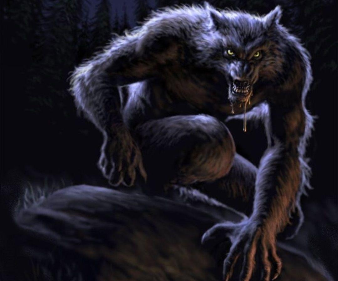 Werwolf, Bild, Kunst, Kreatur, HD, 1080x900 HD Desktop