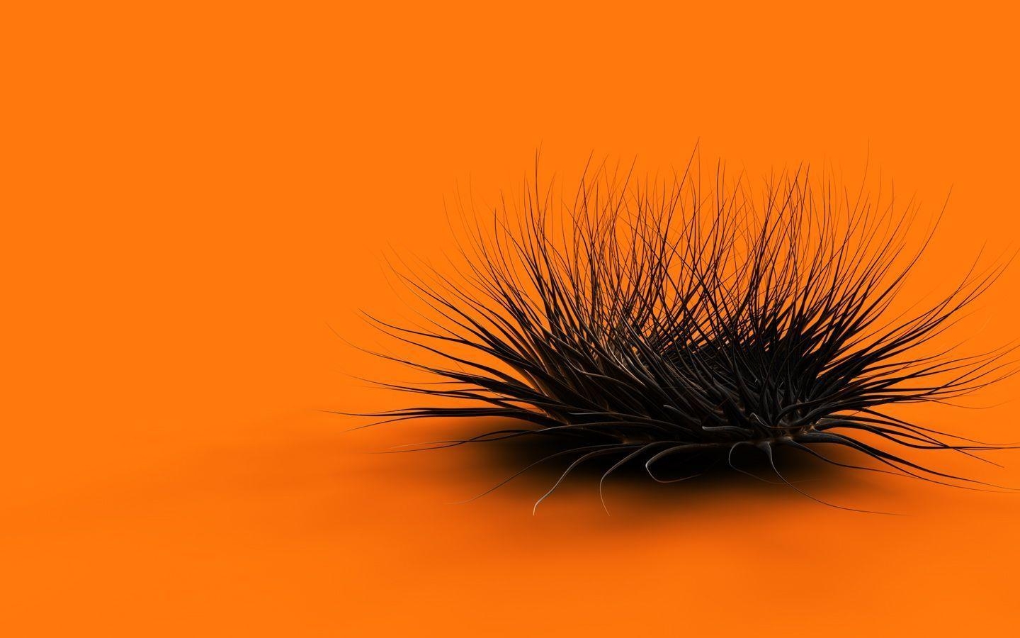 Orange, Schwarz, HD, kontrastreich, Bild, 1440x900 HD Desktop