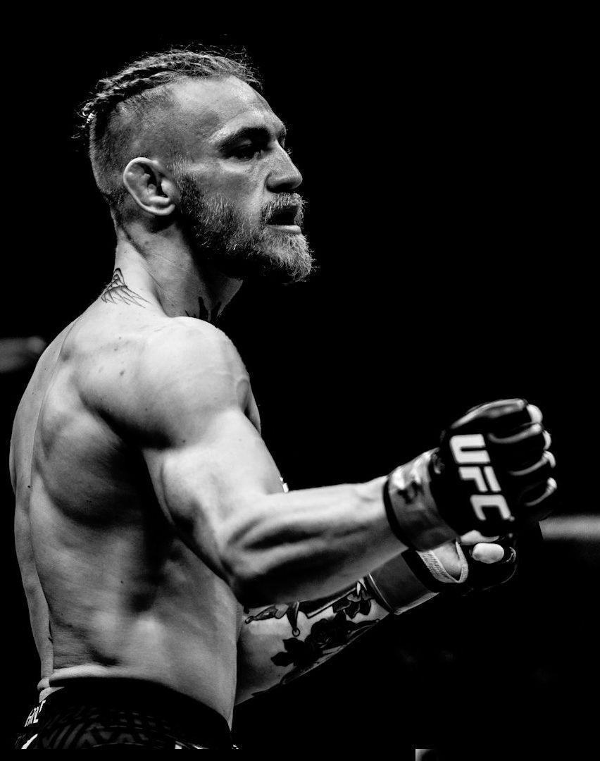 Conor McGregor, Hintergrund, MMA, Kämpfer, Sport, 860x1080 HD Handy