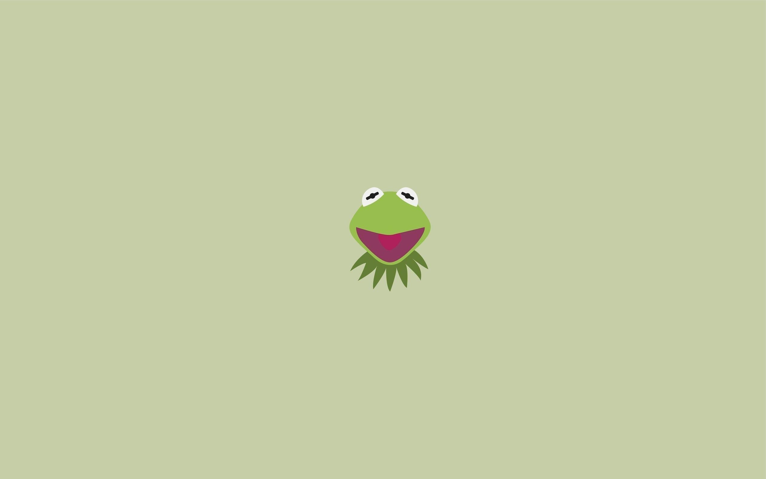 Kermit der Frosch, Supreme, Streetwear, Kult, Parodie, 2560x1600 HD Desktop