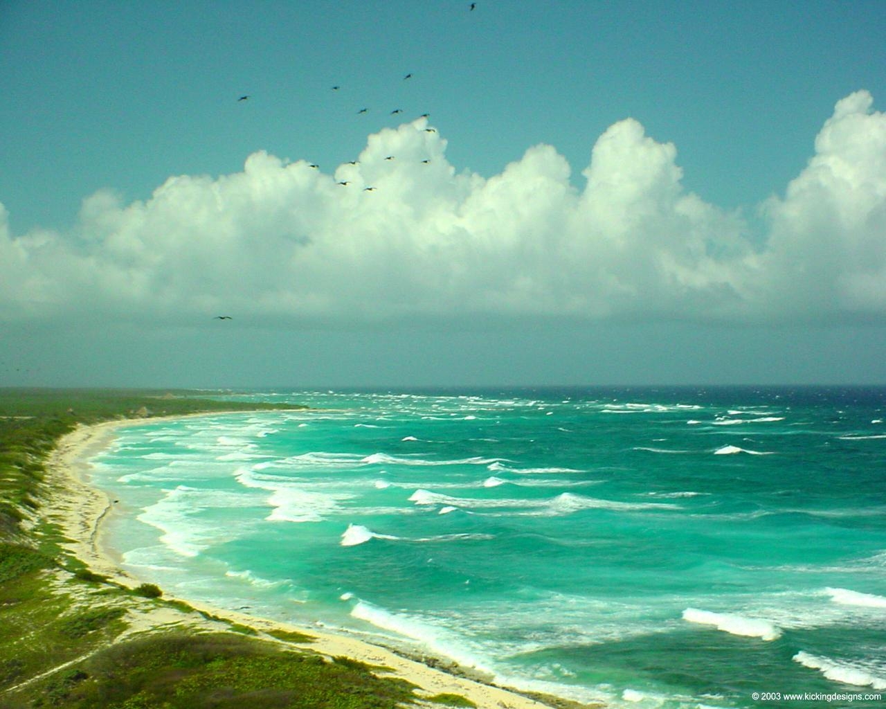 Cozumel, Riffe, Tauchparadies, Karibik, Mexiko, 1280x1030 HD Desktop