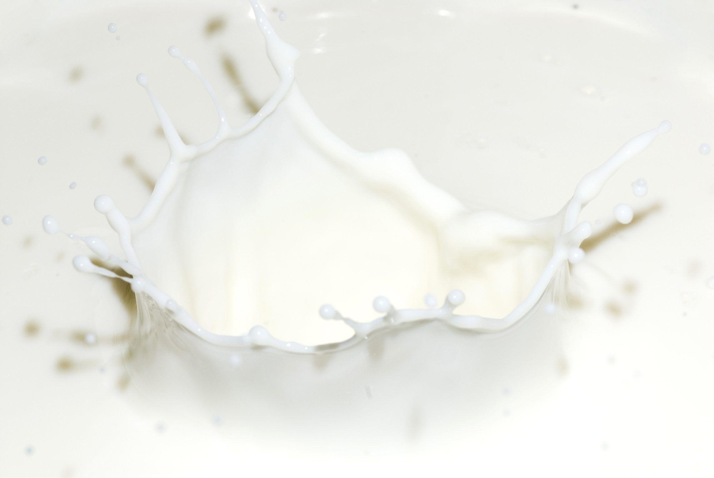 Milch, Download, Lebensmittel, Hintergrundbild, Getränke, 2290x1530 HD Desktop