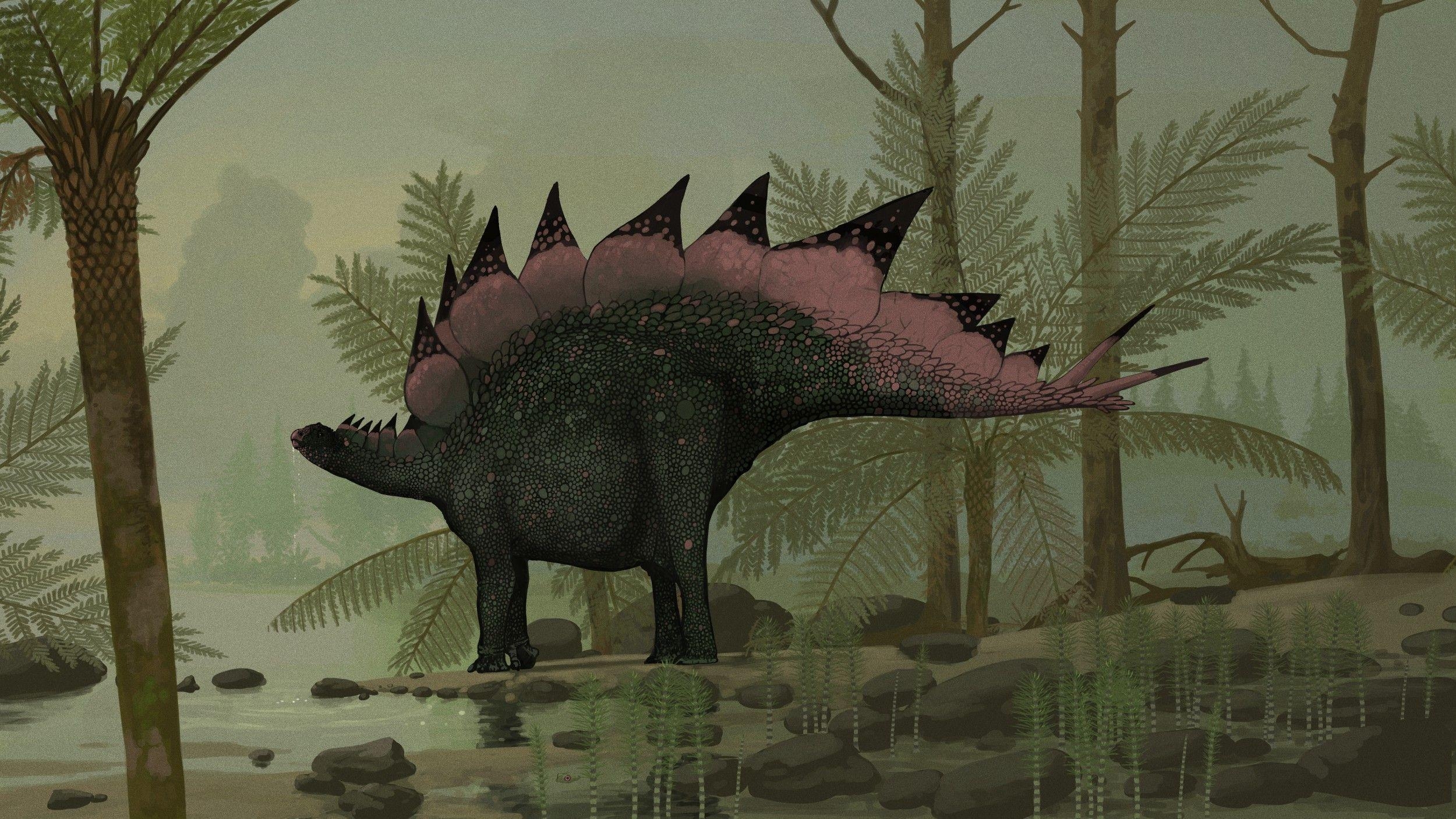 Stegosaurus, Dinosaurier, prähistorisch, Kunst, Tiere, 2500x1410 HD Desktop