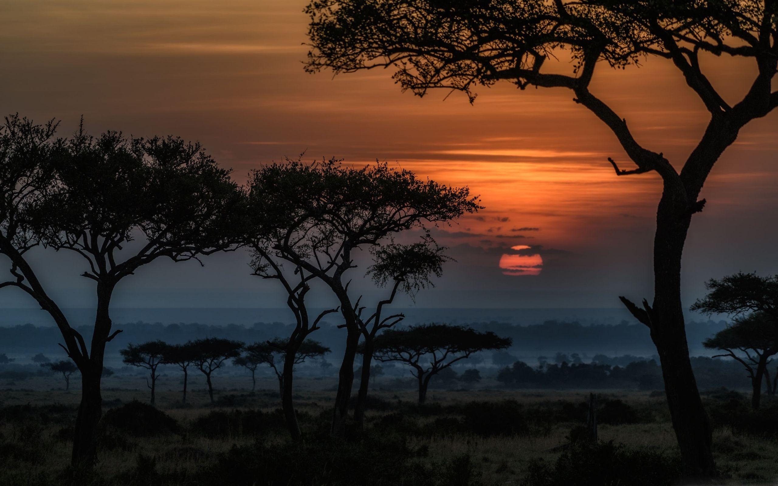 Sonnenaufgang, Masai Mara, Kenia, Afrika, Download, 2560x1600 HD Desktop