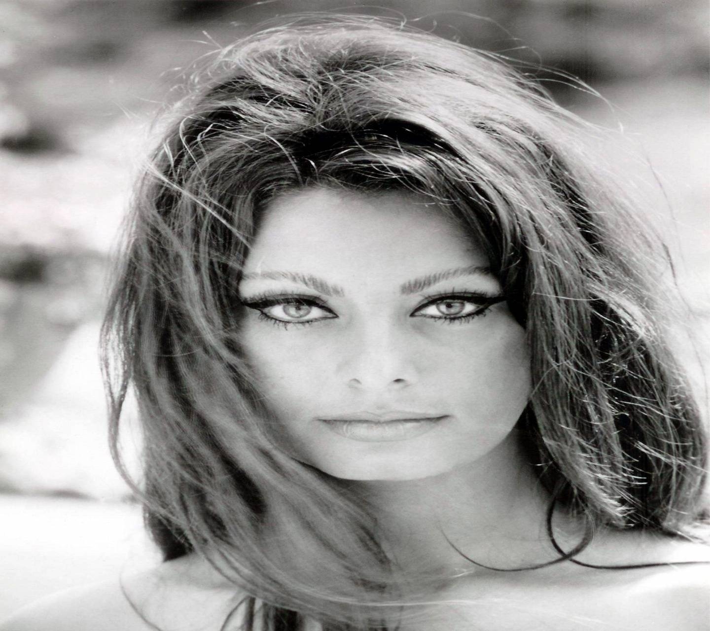 Sophia Loren, Charisma, Filmikone, Preisgekrönt, Fotogen, 1440x1280 HD Desktop