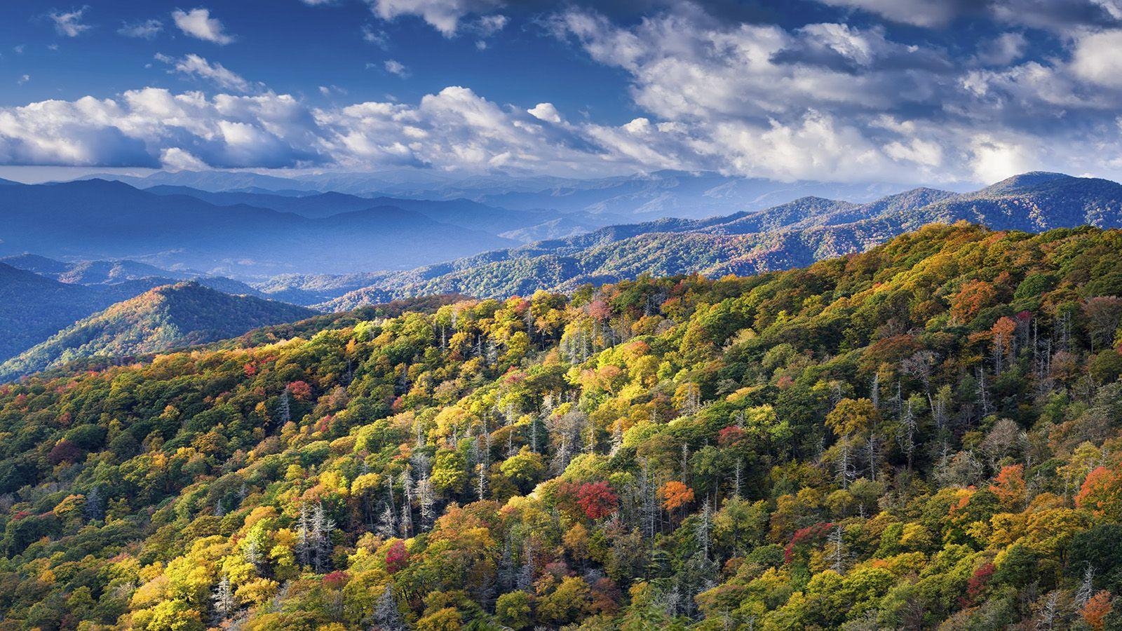 Große Nebligen Berge, Park, USA, Landschaft, Erholung, 1600x900 HD Desktop