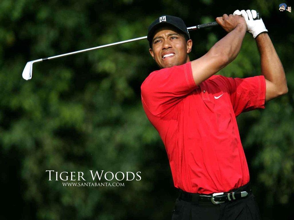 Tiger Woods, Golfer, Meister, USA, Karriere, 1030x770 HD Desktop