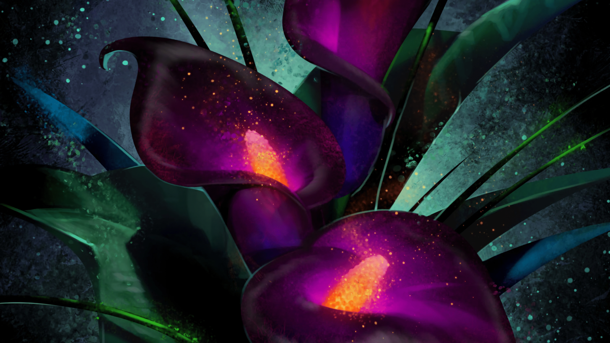 Calla-Lilie, Bouquet, iMac, Natur, Hintergrund, 2560x1440 HD Desktop