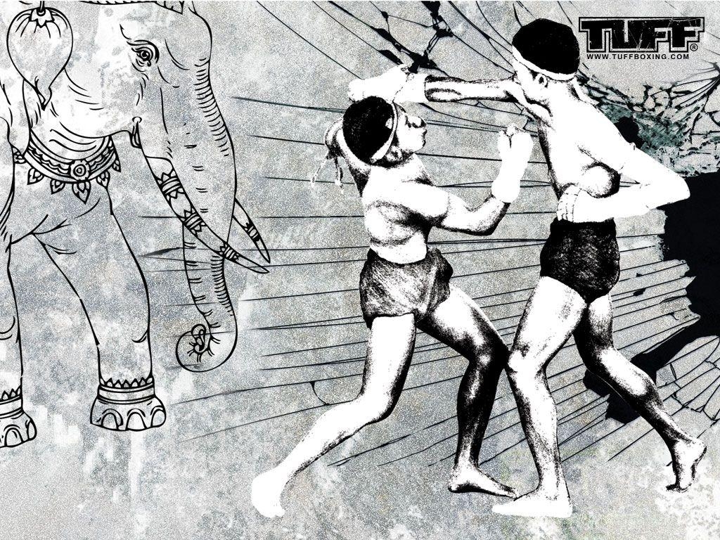 Muay Thai, MMA, Desktop, Krieger, Action, 1030x770 HD Desktop