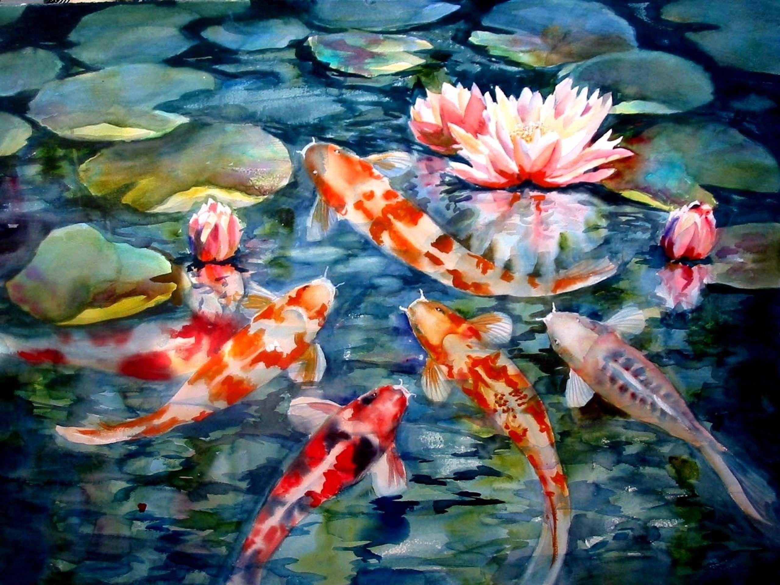 Koi Fisch, Schönheit, HD, Hintergrund, Tierwelt, 2560x1920 HD Desktop