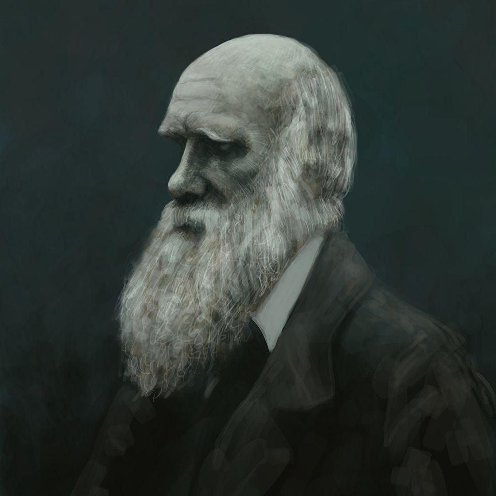 Charles Darwin, Bart, Berühmte Persönlichkeiten, Bild, Herunterladen, 1030x1030 HD Handy