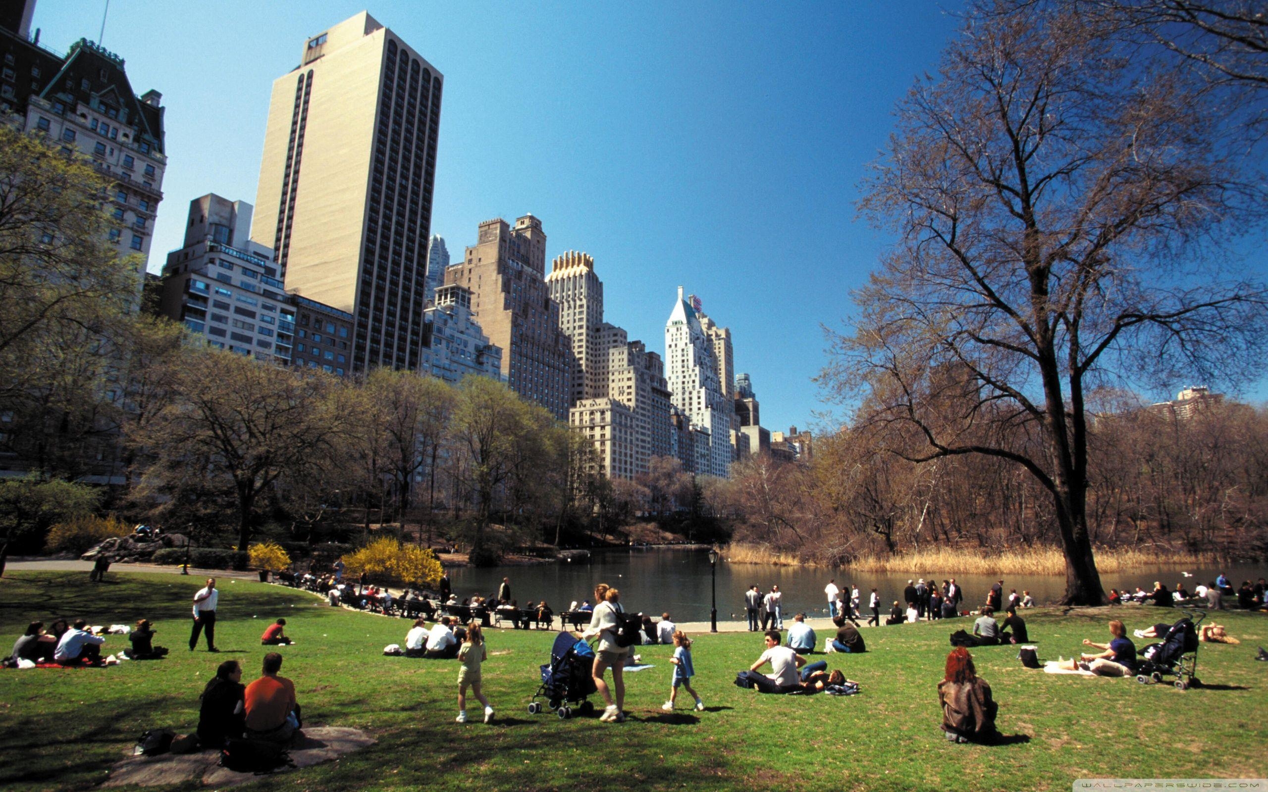 Central Park, 4K HD Desktop, Ultra HD, Tablet, New York, 2560x1600 HD Desktop