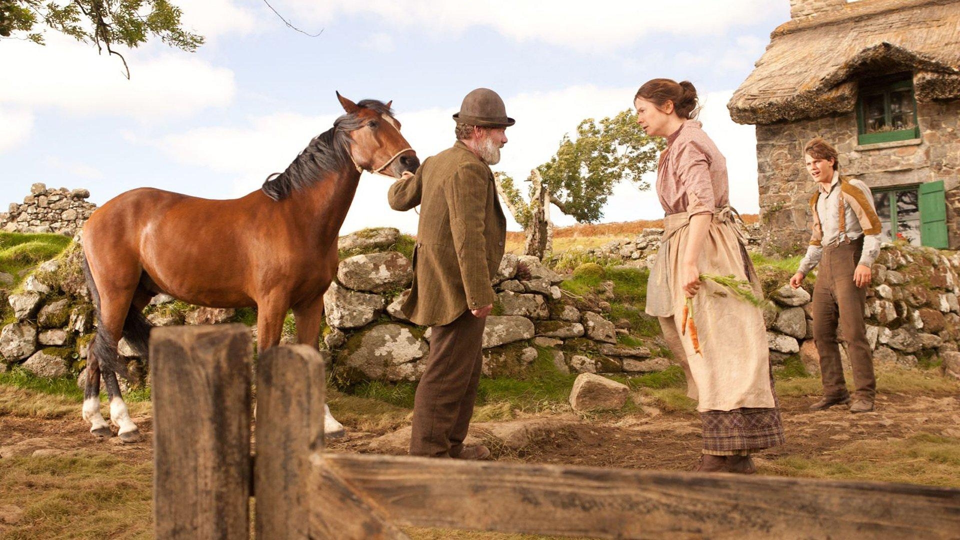 War Horse, HD, Hintergrund, Bild, Kriegspferd, 1920x1080 Full HD Desktop