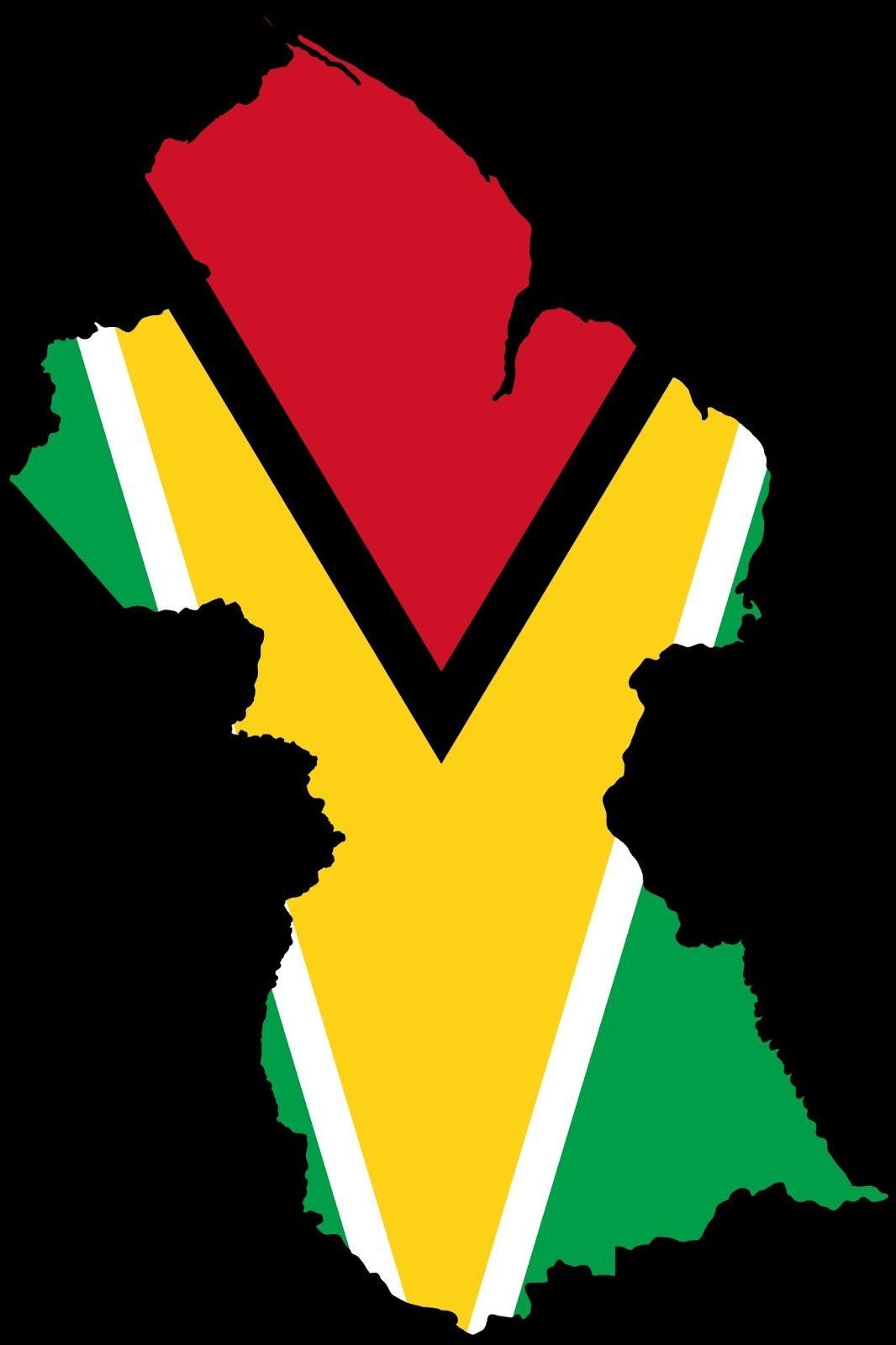 Flagge Guyana Frankreich Kartenfarben, 1070x1600 HD Handy