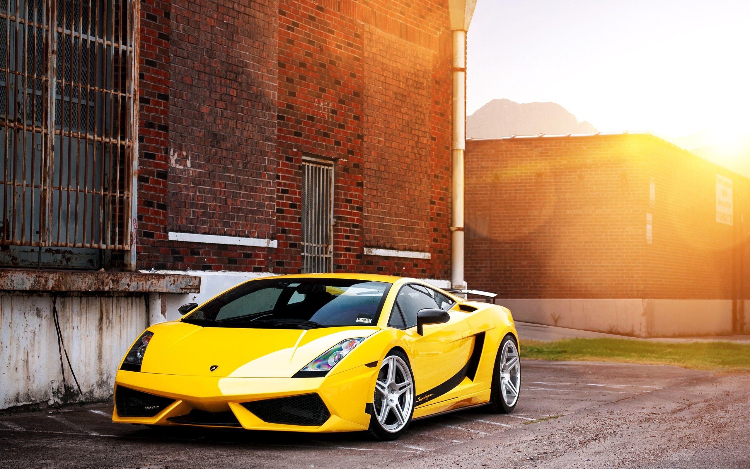 Daily Lamborghini, Gallardo Superleggera, Luxus, Auto, Sport, 2560x1600 HD Desktop