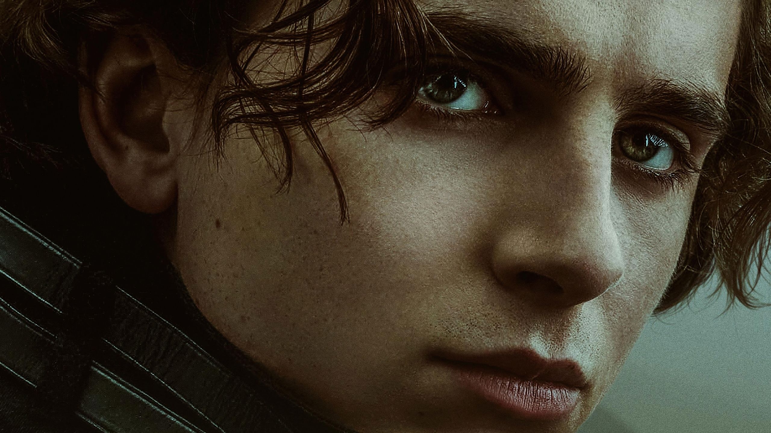 Timothée Chalamet, Paul Atreides, Film, Dune, Schauspiel, 2560x1440 HD Desktop