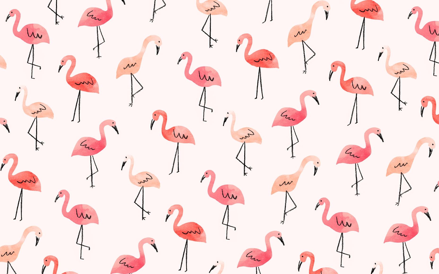 Flamingo, Tiere, Größe 7x1161, rosa, elegant, 1860x1170 HD Desktop