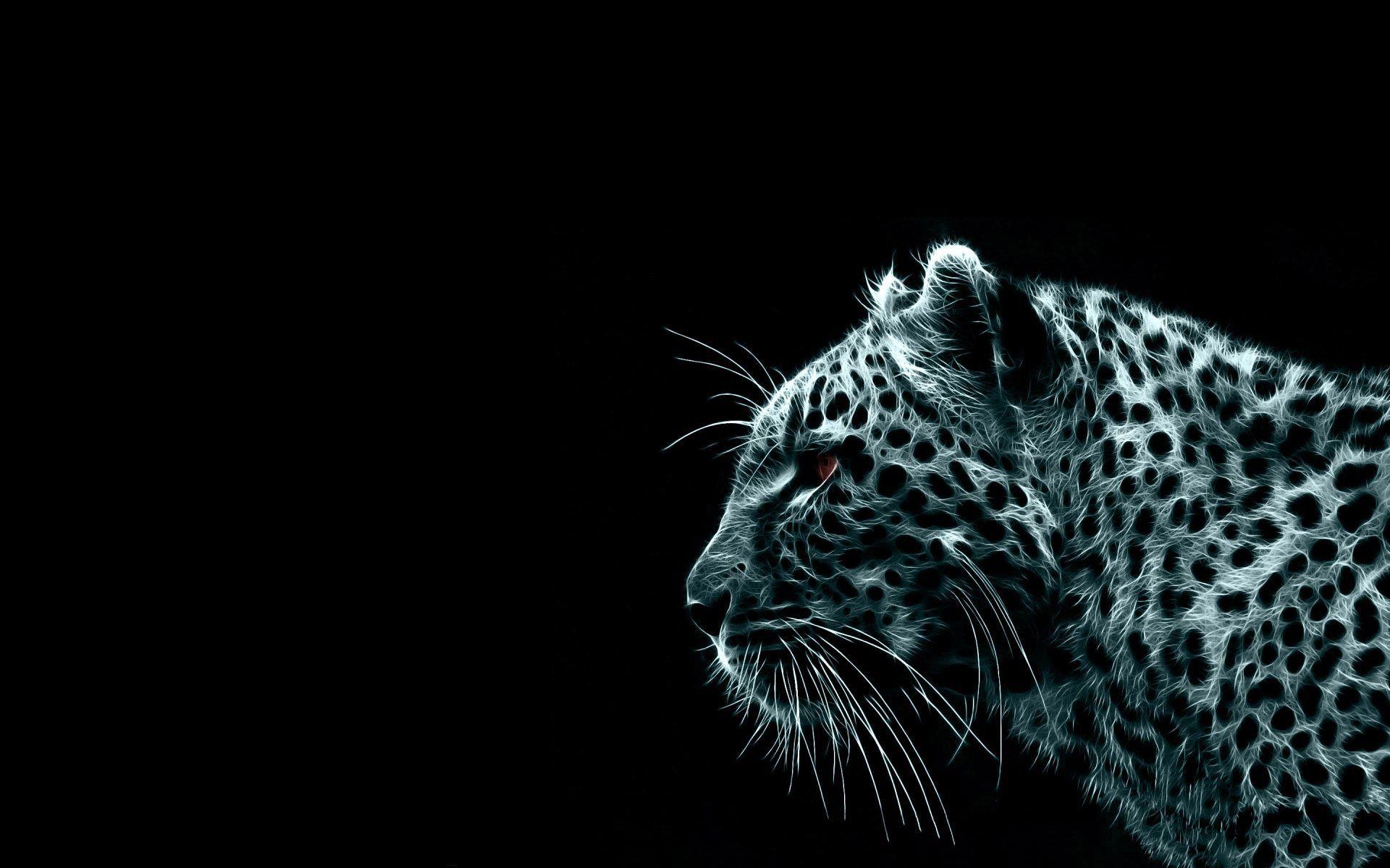 Leopard, HD, Tier, Hintergrund, Bild, 1920x1200 HD Desktop