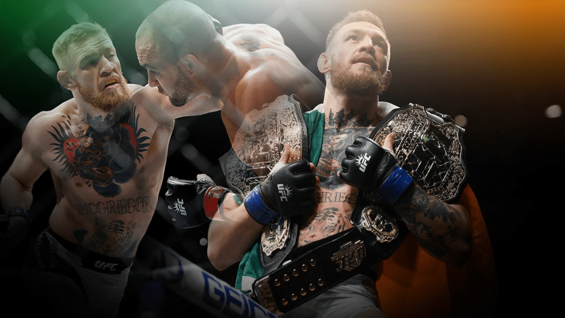 Madison Square Garden, Conor McGregor, Boxkampf, Sportikone, UFC, 1920x1080 Full HD Desktop