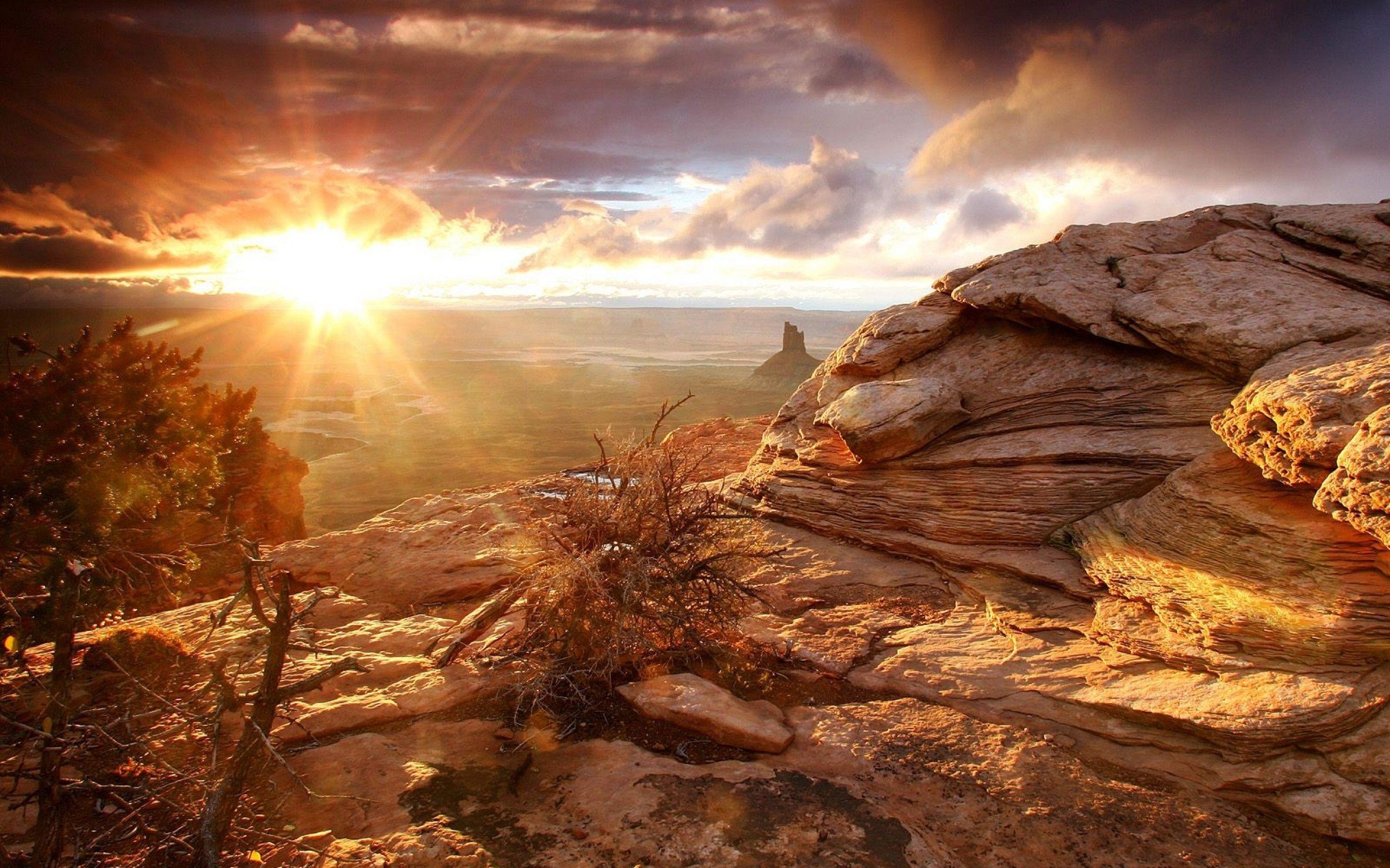 Mojave-Wüste, USA, Natur, Landschaft, Neueste, 2560x1600 HD Desktop